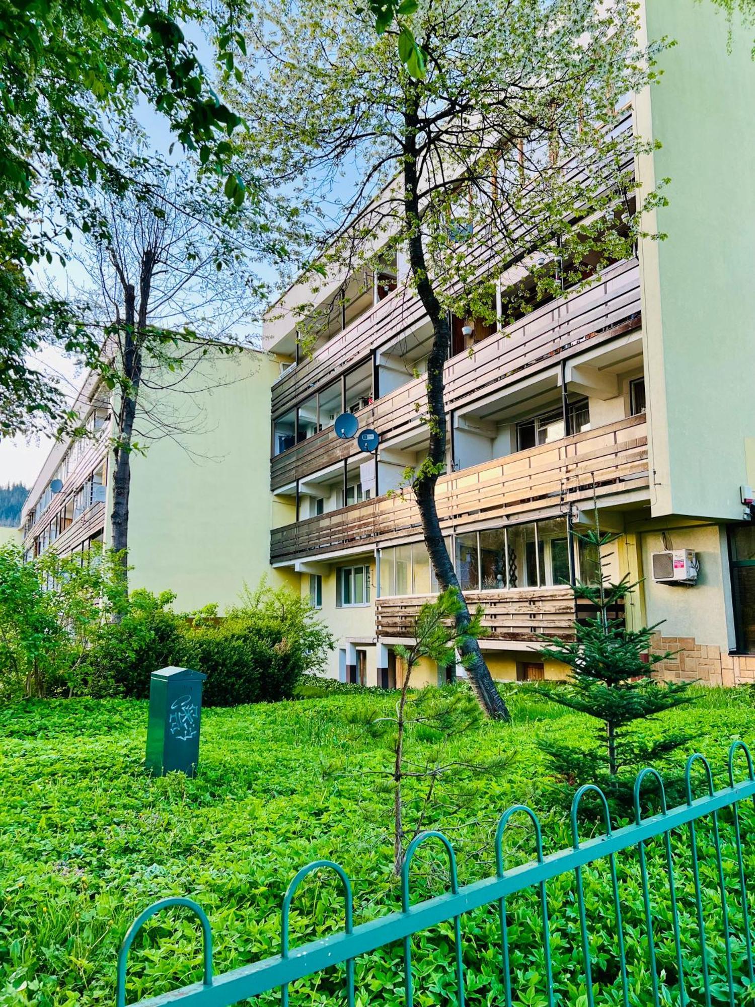 Mieszkanie Babci Danusi W Centrum Zakopanego - Juliusza Zborowskiego 3 Mieszkanie 24 Buitenkant foto